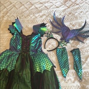 EUC Enchanting Dragon Costume for Kids